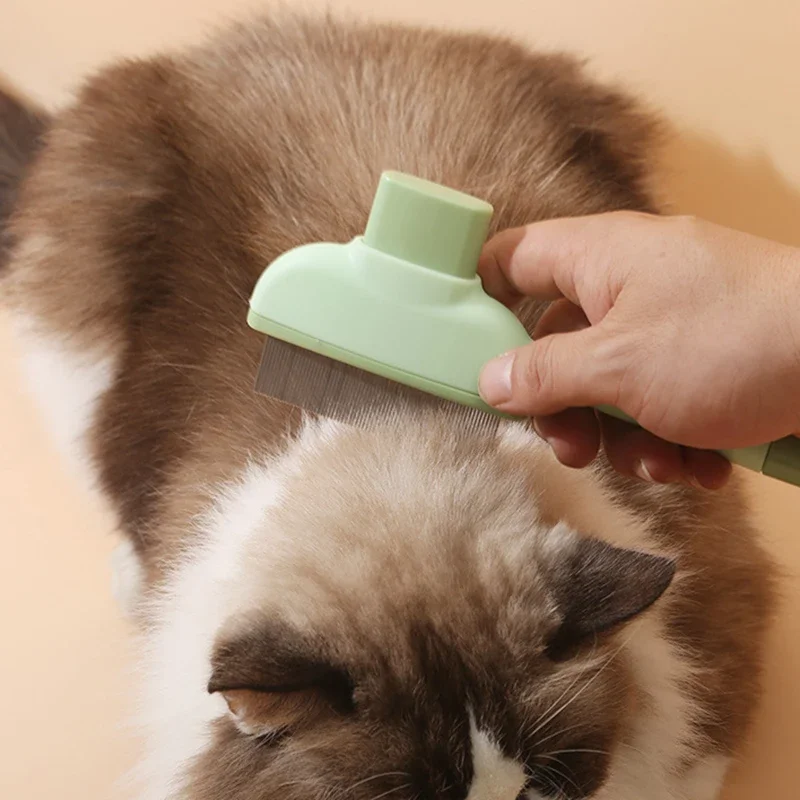 Pet Cat Comb Cat and Dog Hair  – Beauty Makeup Artist Bewertung und Preis